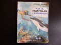 Как я подружился с дельфином Александр Михайлов приключения детска книжка, снимка 1 - Детски книжки - 44483051