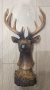 Нова Статуетка Елен - Трофей - Сувенир Еленче с Рога - 36см, снимка 3