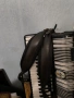 продавам акордеон, снимка 4