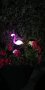 LED Соларна лампа Фламинго,водоустойчива IP65, снимка 10