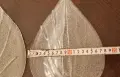 Двойка стъклени листа в стил Мурано , снимка 4