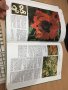Цветна Енциклопедия - A-Z of perennials -Successful Gardening, снимка 12