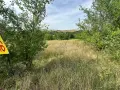 с. Калипетрово имот 1191кв.м ул. Орехова 32 / градина / парцел / терен , област Силистра -цена 8 400, снимка 7