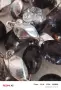 Двойно разкошно колие мурано вениция, снимка 6