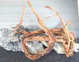 Корен WOOD WAVE №2, снимка 2