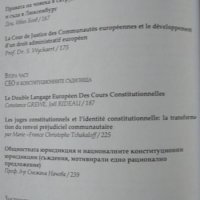 Взаимоотношенията между Националния съд и съда на ЕС 2010 г., снимка 3 - Други - 31735417