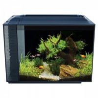 "Безплатна доставка " Аквариум Fluval SPEC XV 54, снимка 1 - Аквариуми - 37994001