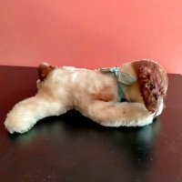 Колекционерска мека играчка Steiff Floppy Cocker Spaniel Dog 5560/17, снимка 2 - Колекции - 37764148