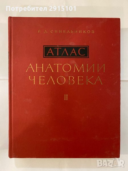 Анатомия на човека - II & III, снимка 1