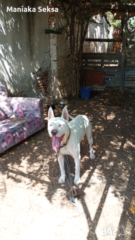 Турска му нов дом, снимка 1