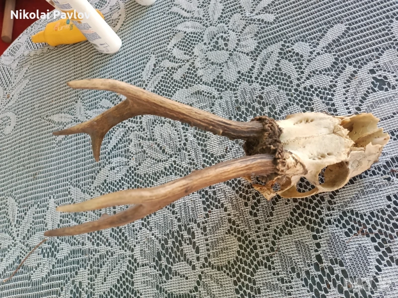 Сувенир , снимка 1