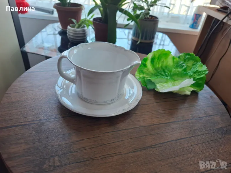 Сосиера порцеланова, снимка 1