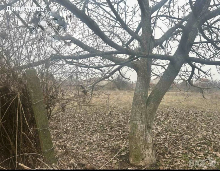 Парцел/земя, снимка 1