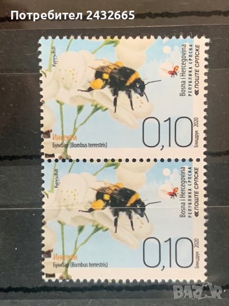 1284. Босна и Х.( Реп.Сръбска ) 2020 =   “ Фауна. Земна пчела.  ”,**,MNH , снимка 1