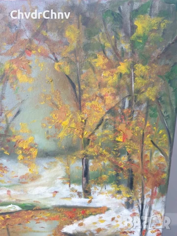 Деница Гарелова 40x30см/малка българска картина масло върху платно/горски пейзаж/есен-зима, снимка 3 - Картини - 51160157