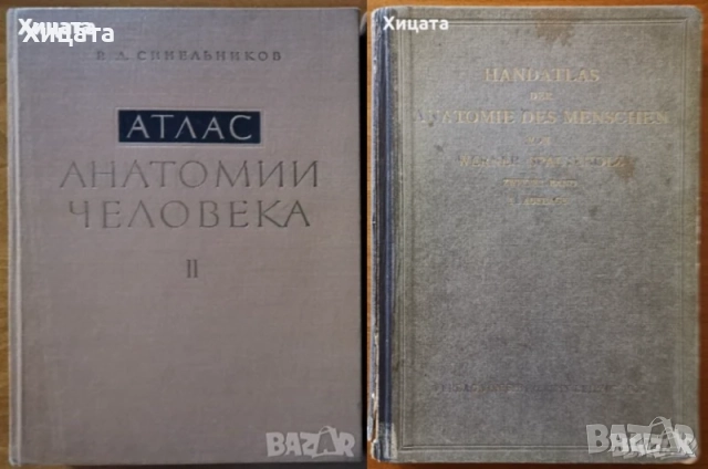 Gottfried Bammes:Der nackte Mensch;Синельников,Шпалтехолц;Чоканов;Учебна рисунка;История на изкуство, снимка 6 - Енциклопедии, справочници - 41524901