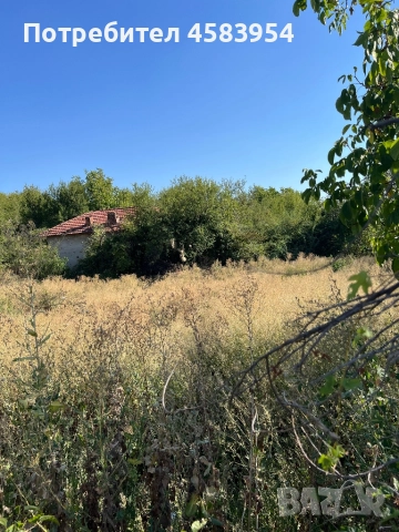 Продава се дворно място в с. Брестово, област Ловеч