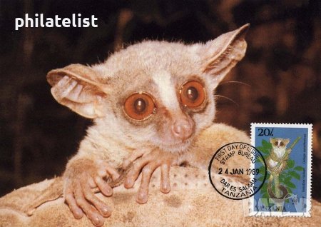 Танзания 1989 - 4 броя Карти Максимум - WWF, снимка 3 - Филателия - 38843261