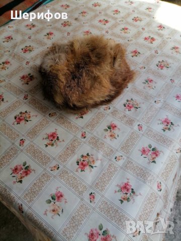 Продавам лисичи яки и шапка , снимка 3 - Шалове - 42190089