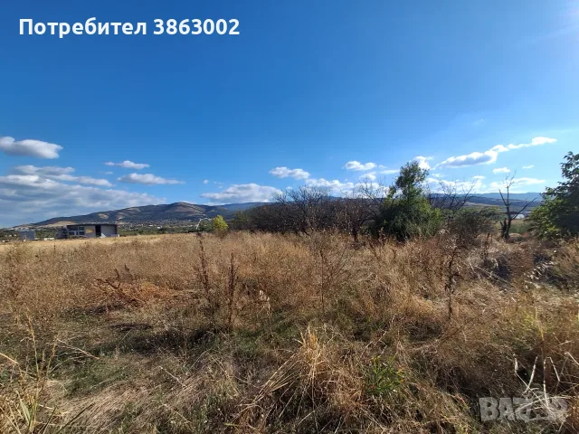 Парцел първенец