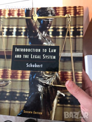 Въведение в правото и правната система на САЩ , снимка 1 - Специализирана литература - 38084118