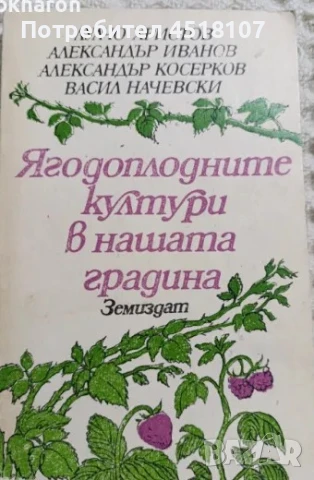 КНИГА ЗА РАСТЕНИЯ/ГЪБИ, снимка 4 - Други - 51431656