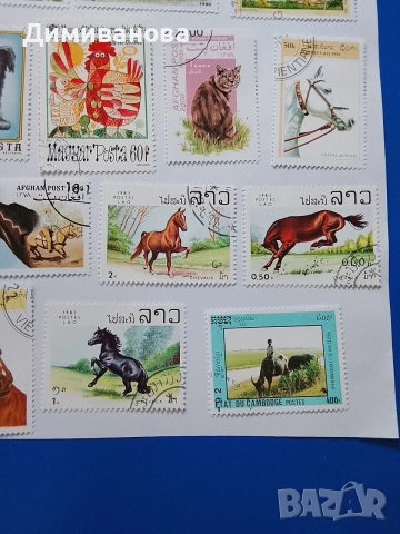 23 пощенски марки (коне, крави), снимка 5 - Филателия - 53995745