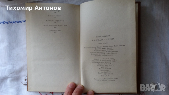Борис Брайков - В сянката на княза, снимка 7 - Художествена литература - 52342859