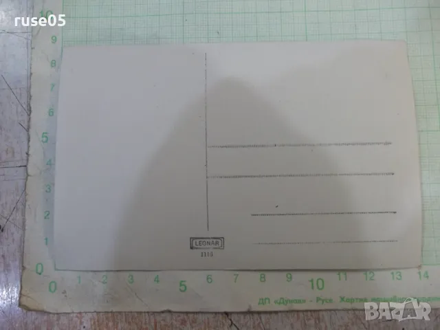 Снимка стара на трио край реката, снимка 2 - Колекции - 47914569