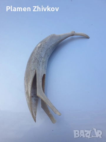 птица от естествен рог - жерав, снимка 2 - Антикварни и старинни предмети - 52522287