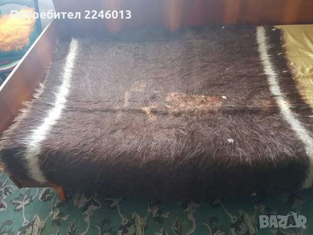 Козяци, снимка 2 - Други - 30149735