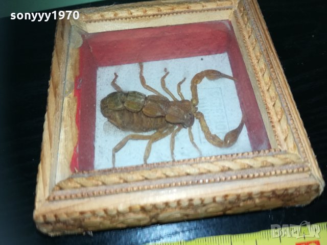 скорпион-внос france 1910201740, снимка 13 - Колекции - 30478693