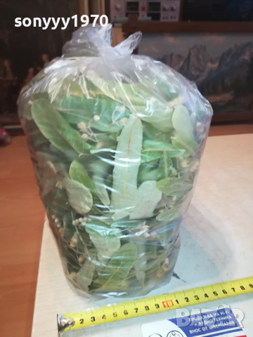 ЛИПА 2023 ГОДИНА-ГОЛЯМ ПЛИК С ЛИПА 0903241813, снимка 7 - Домашни напитки - 44685868