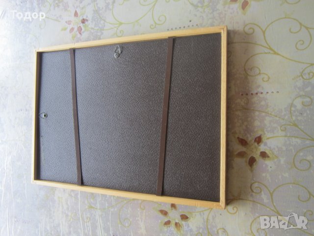 Стара картина Хербарий, снимка 5 - Други - 30197313