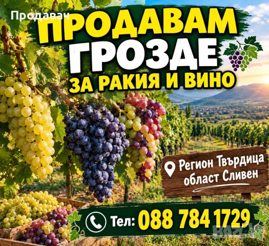 Продавам грозде за вино и ракия регион Твърдица 