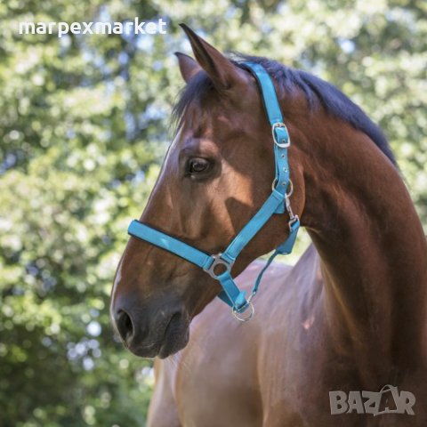 Цветни оглавници за коне - Colors, снимка 4 - Коне - 44287192