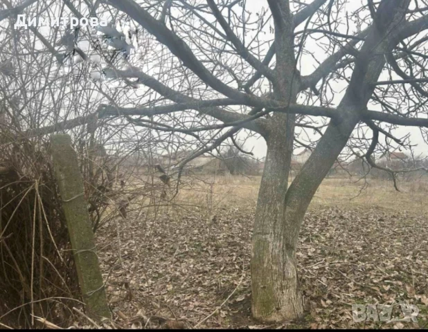 Парцел/земя