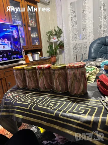 Мариновани риби, снимка 4 - Зимни спортове - 55774687