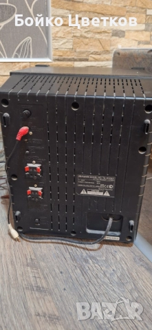 Активен subwoofer Aiwa - TS W 45, снимка 2 - Аудиосистеми - 51854922