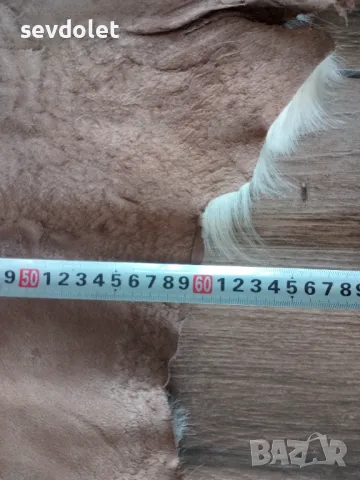 Естествена и прекрасна,екзотична кожа от коза, снимка 3 - Декорация за дома - 47429137