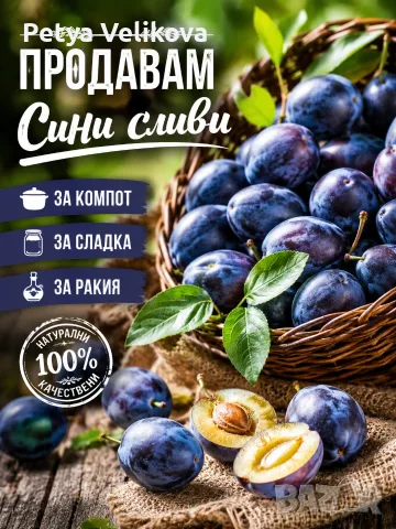 Сини сливи сорт Стенлей 