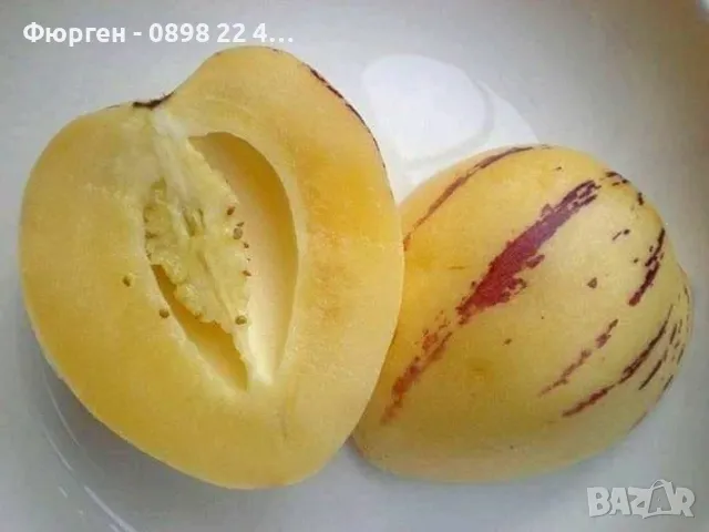  Пепино - Пъпешово дърво СЕЗОННА РАЗПРОДАЖБА !!!, снимка 2 - Разсади - 50425707