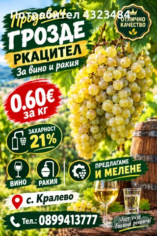 продавам грозде