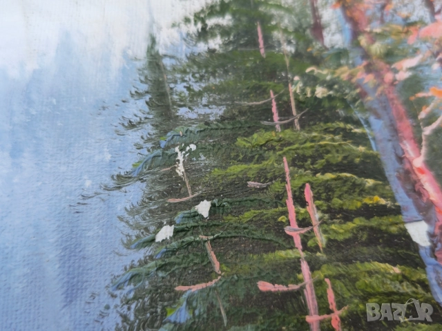 Платно маслени бои, снимка 6 - Картини - 52371989