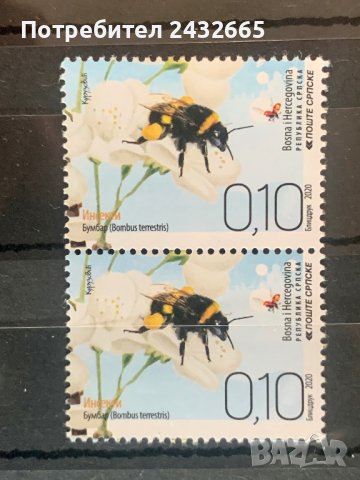 1284. Босна и Х.( Реп.Сръбска ) 2020 =   “ Фауна. Земна пчела.  ”,**,MNH 