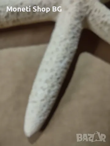 Океански дарове., снимка 4 - Декорация за дома - 48922448