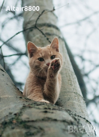 Nikon AF 35-70mm f/2.8D Nikkor обектив Никон #2/4, снимка 11 - Обективи и филтри - 52248051