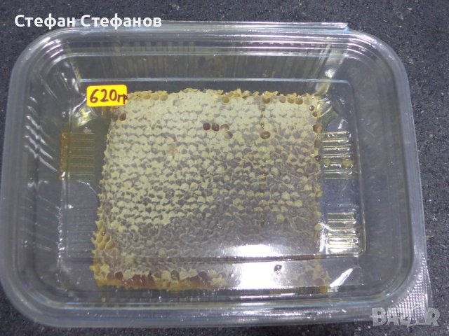 Пчелен мед във восъчна пита, снимка 6 - Пчелни продукти - 38495832