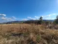 Парцел първенец, снимка 1