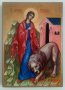 Икона на Света Татяна icona Sveta Tatiana, различни изображения